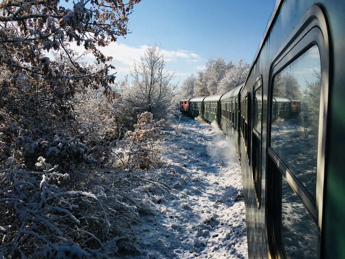 All Aboard! The Most Scenic Train Rides Across the USA