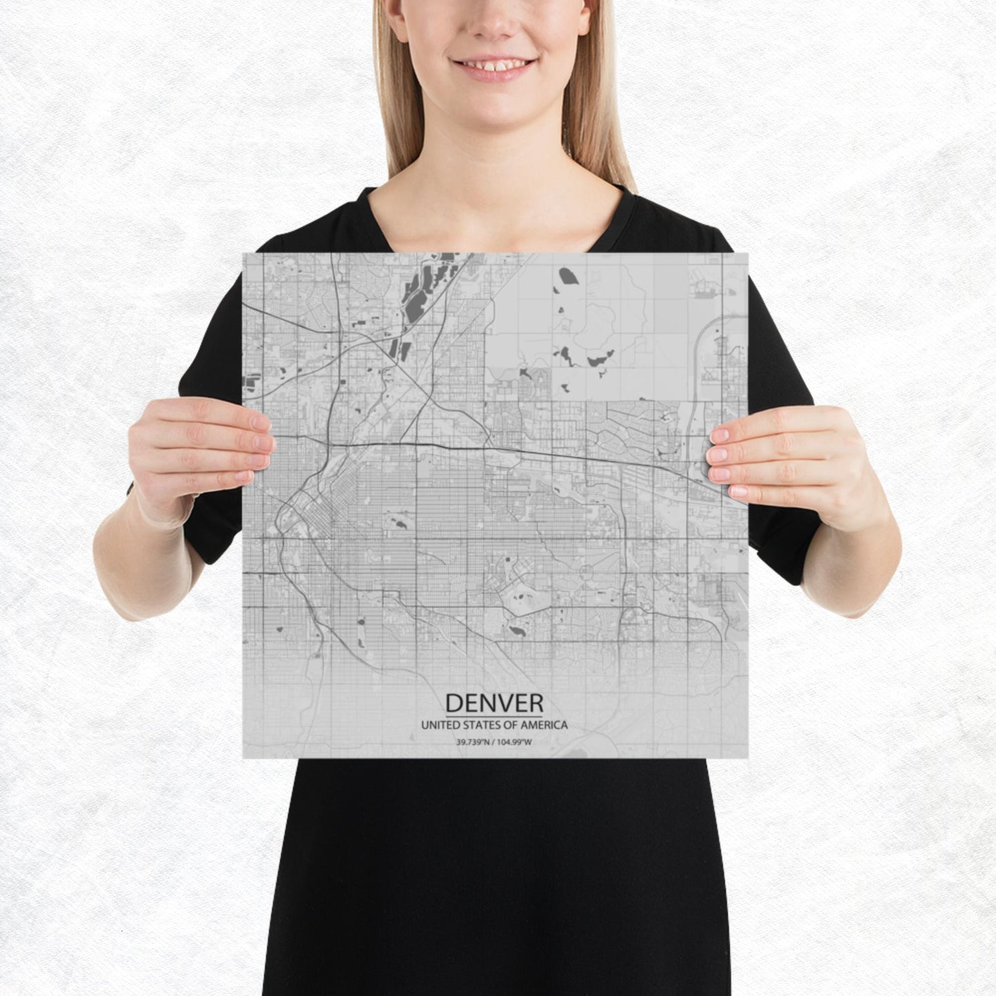 Denver Light Grey Paper Map