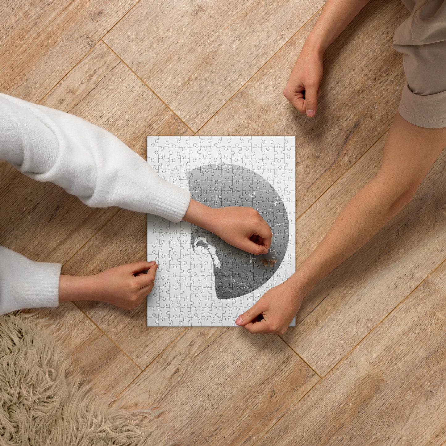 San Diego Silver on White Map Jigsaw Puzzle