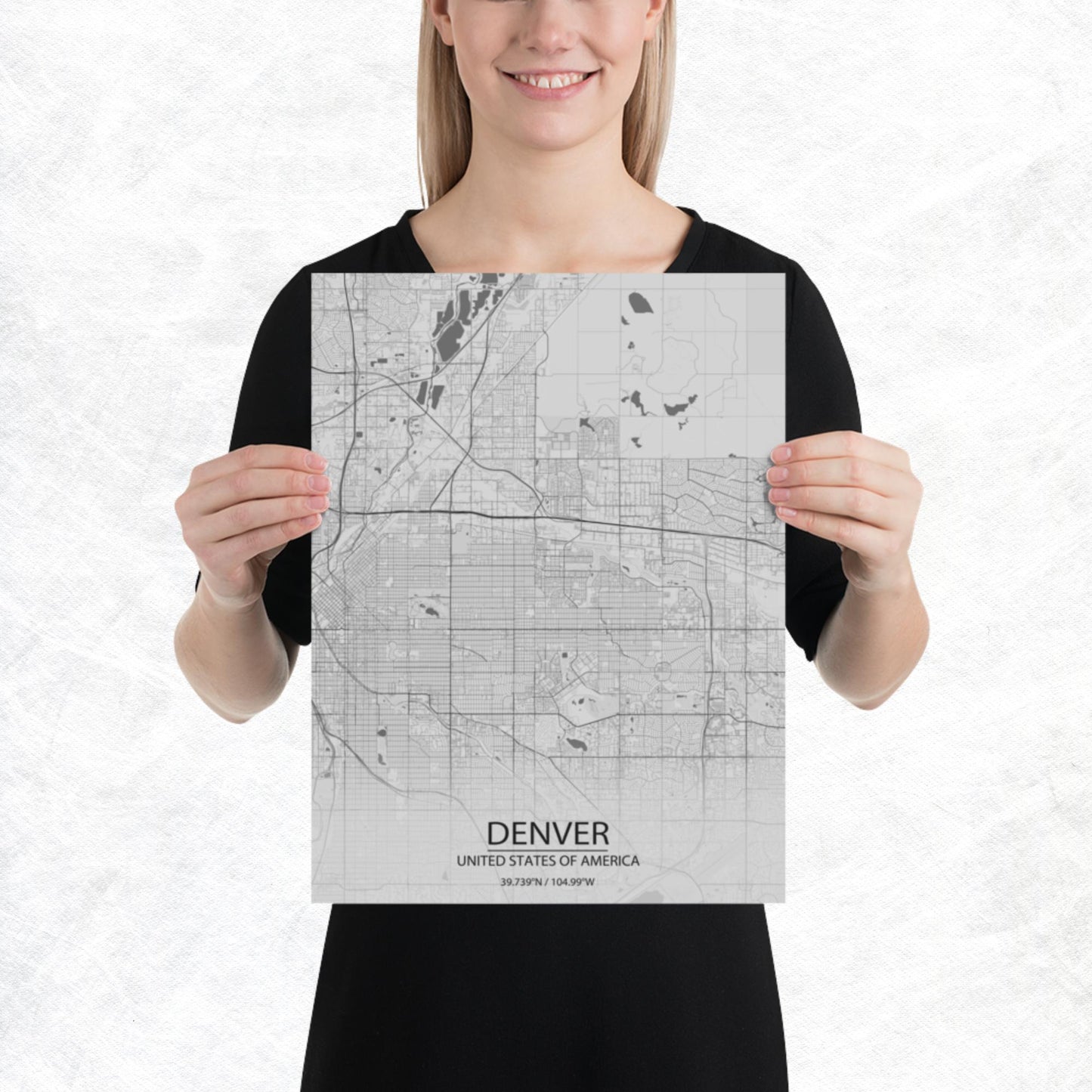 Denver Light Grey Paper Map