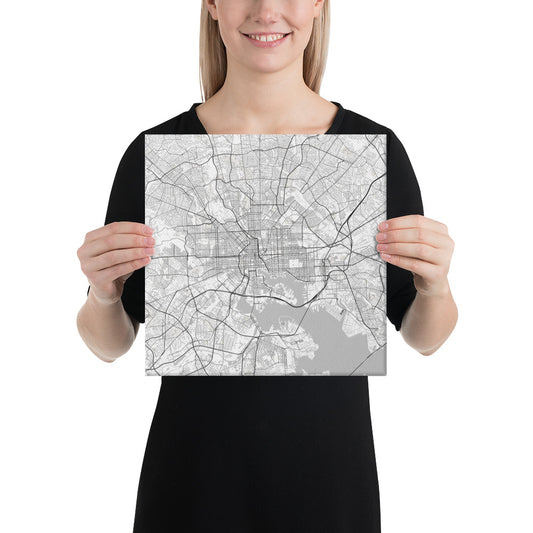 Baltimore White Canvas Map