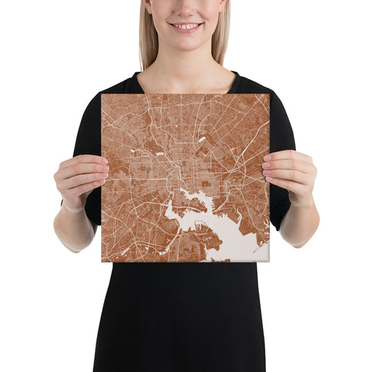 Baltimore Brown and White Canvas Map