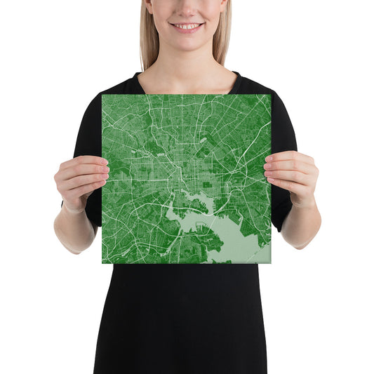 Baltimore Green and White Canvas Map
