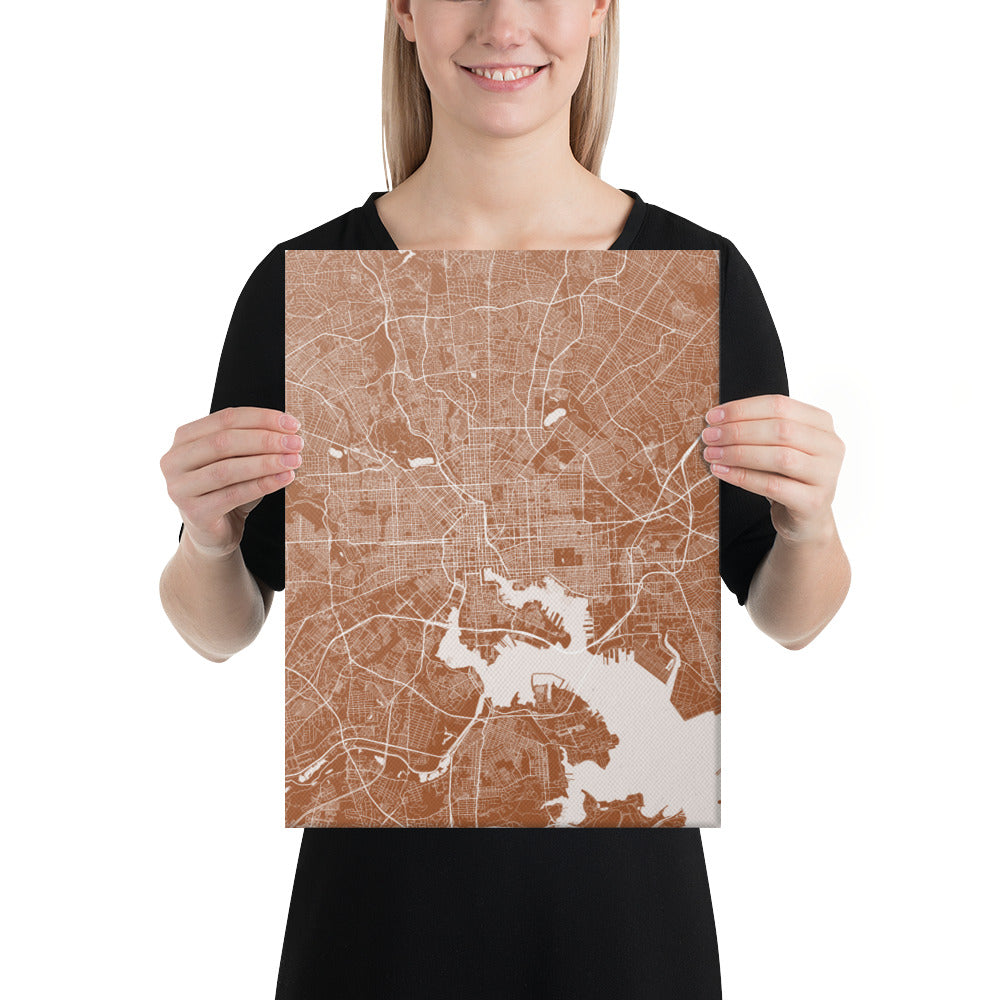 Baltimore Brown and White Canvas Map
