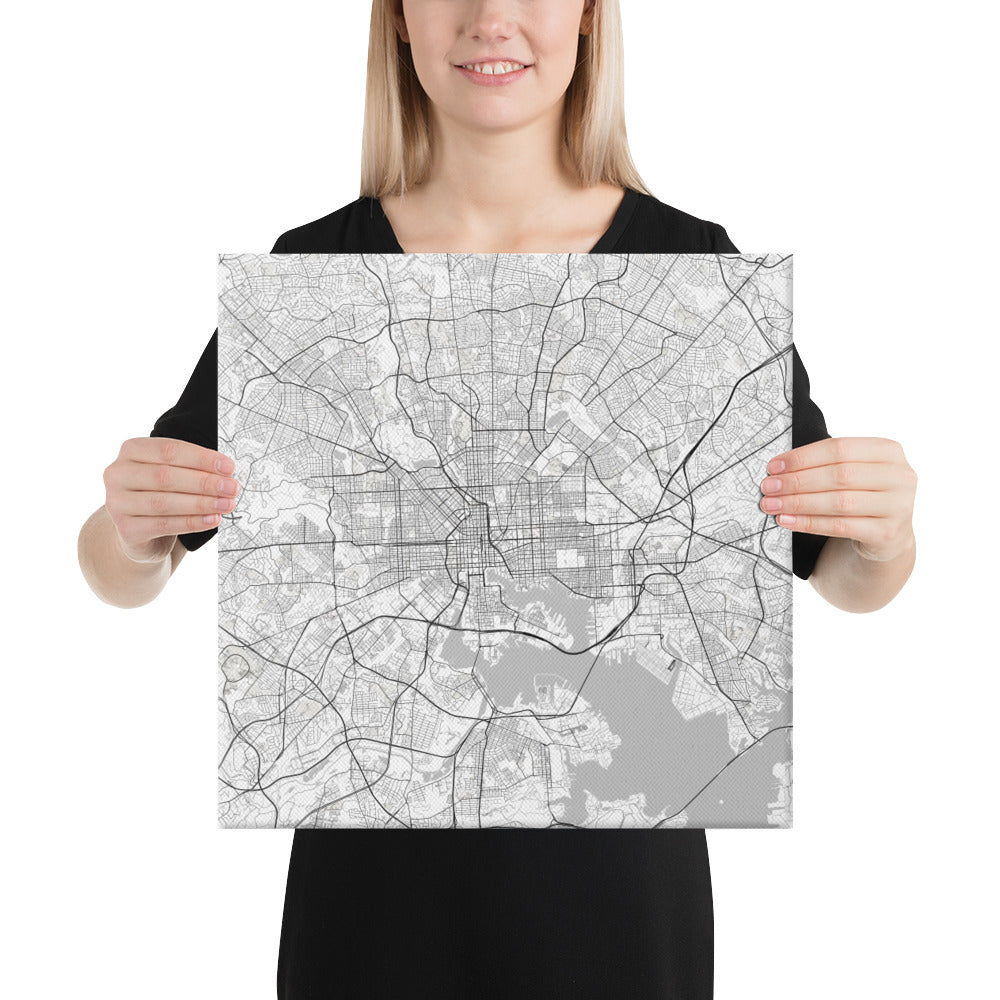 Baltimore White Canvas Map