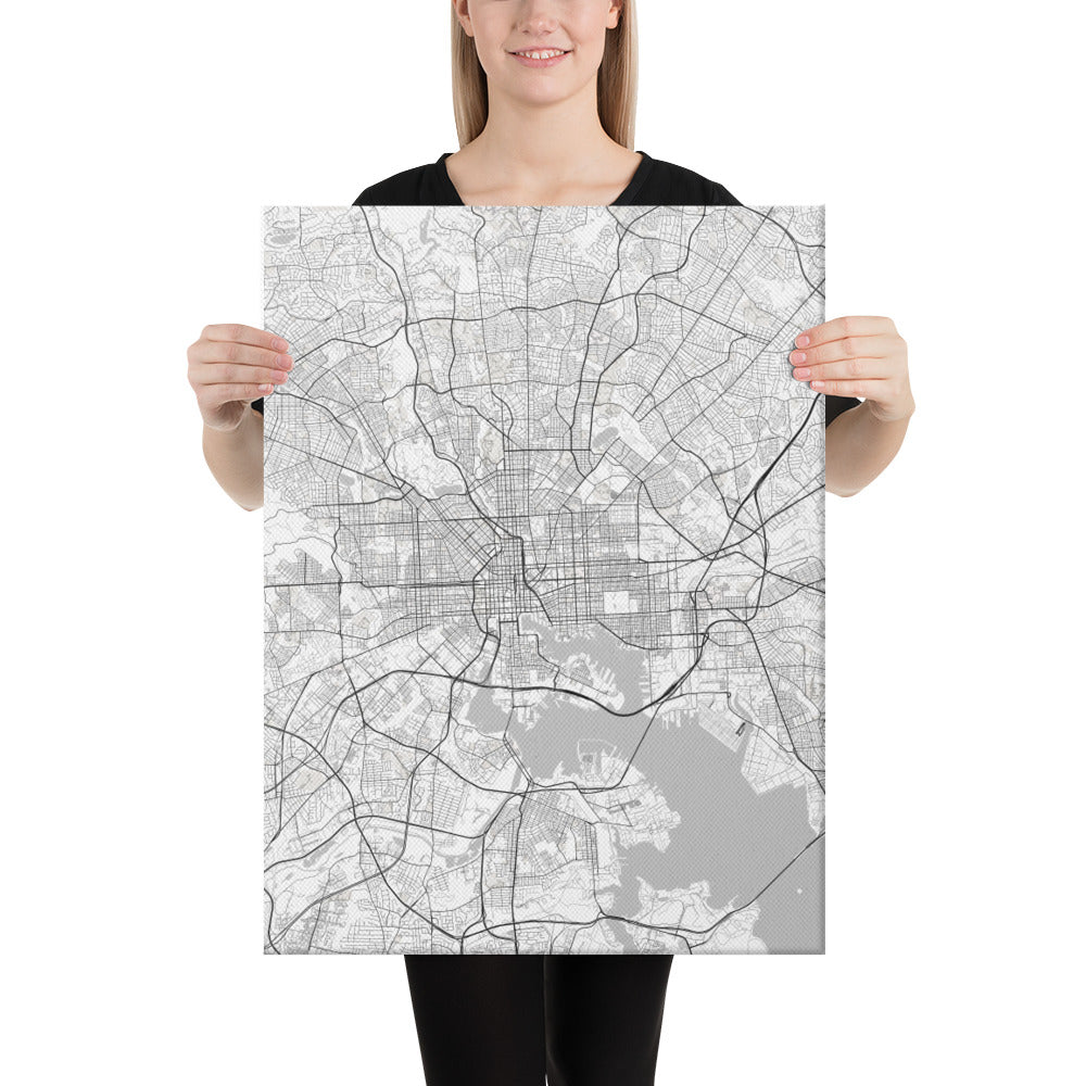 Baltimore White Canvas Map