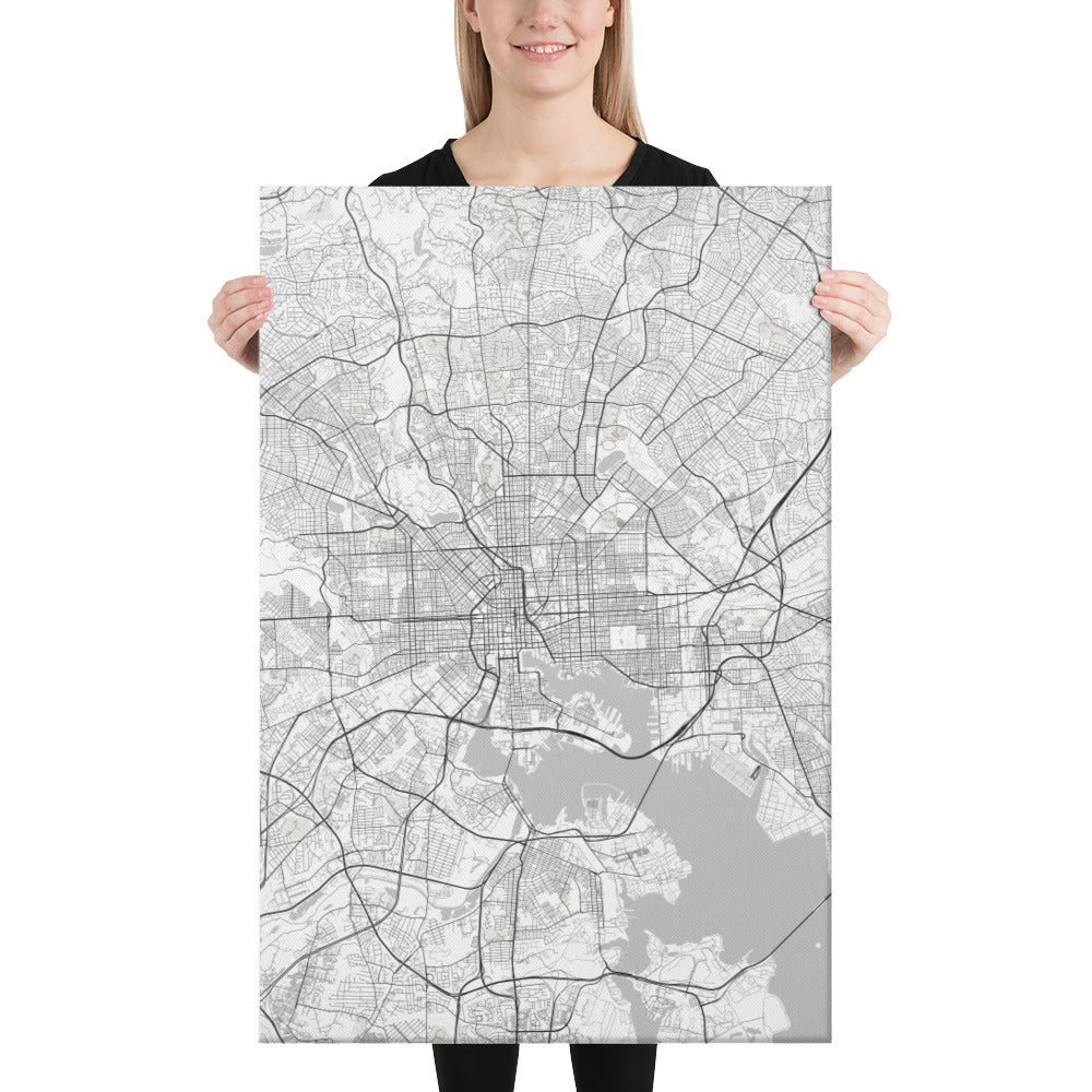 Baltimore White Canvas Map