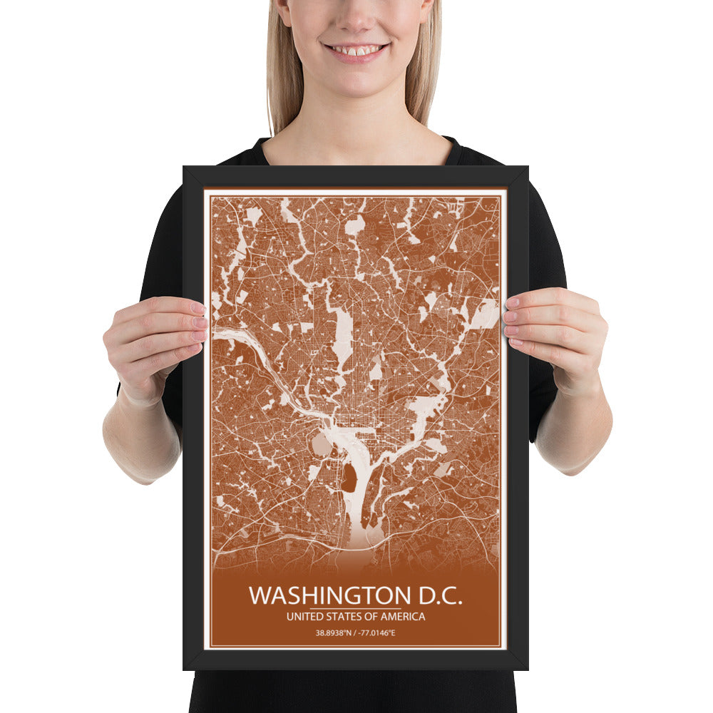 Washington, D.C. Brown and White Framed Map