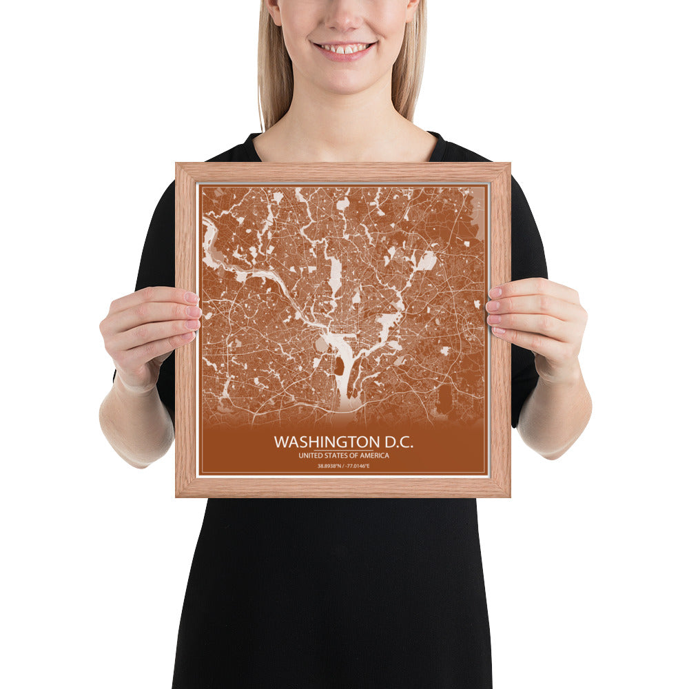 Washington, D.C. Brown and White Framed Map