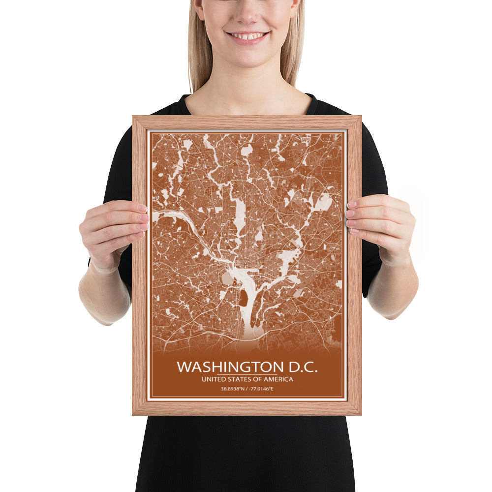 Washington, D.C. Brown and White Framed Map
