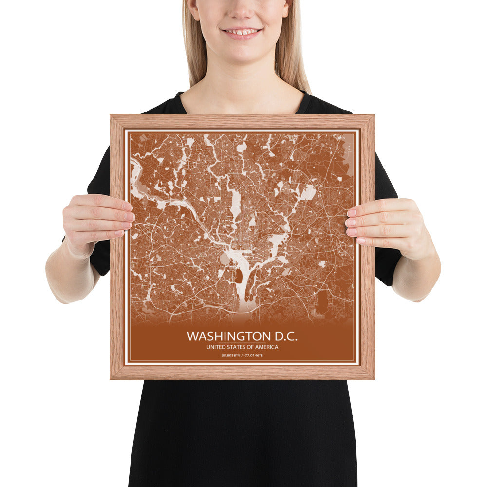 Washington, D.C. Brown and White Framed Map