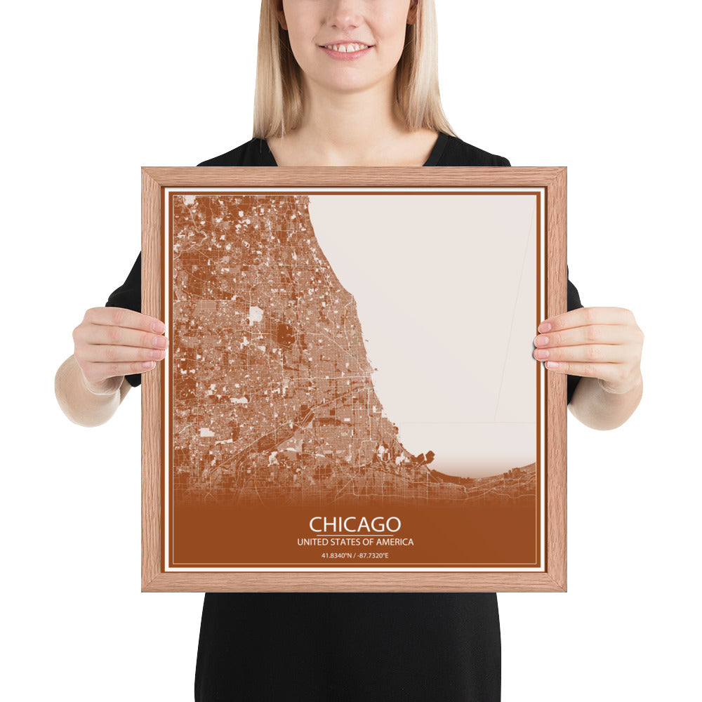 Chicago Brown and White Framed Map