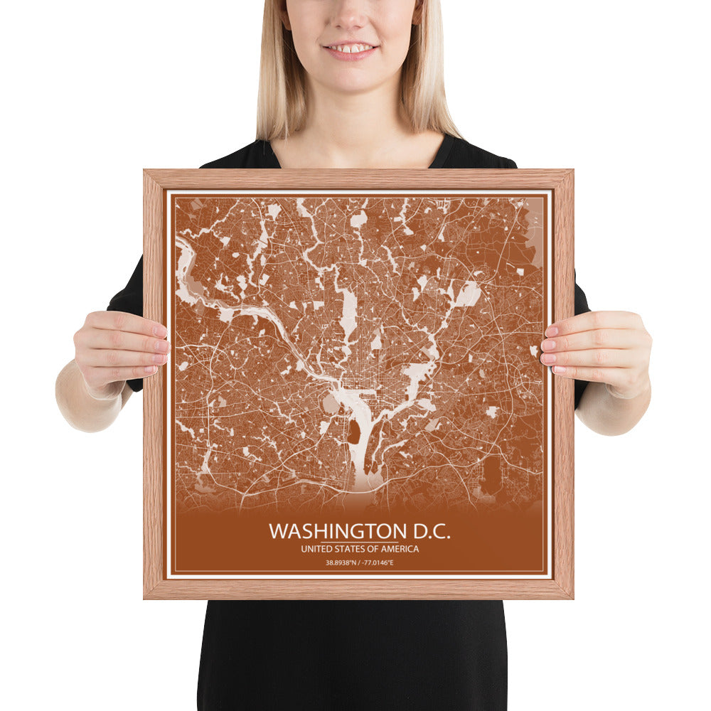 Washington, D.C. Brown and White Framed Map