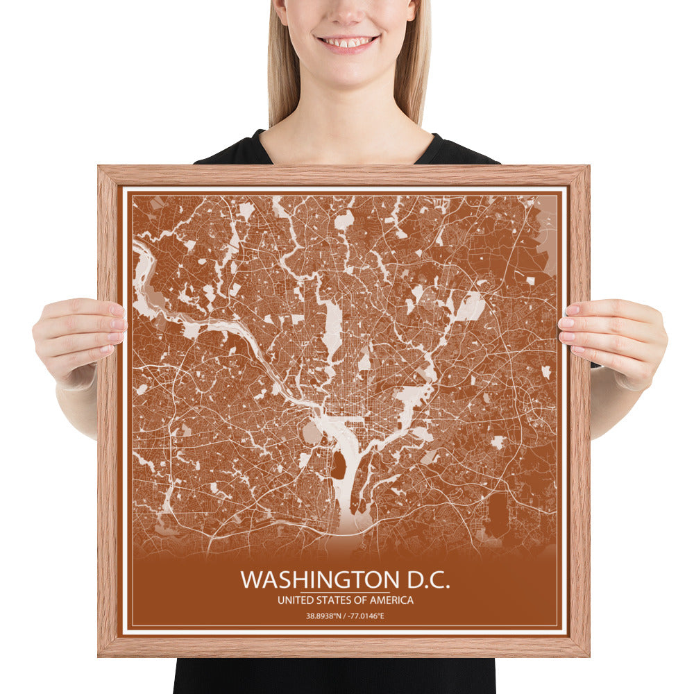 Washington, D.C. Brown and White Framed Map