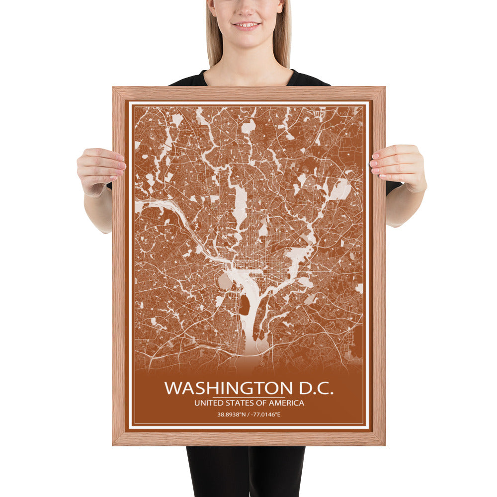 Washington, D.C. Brown and White Framed Map